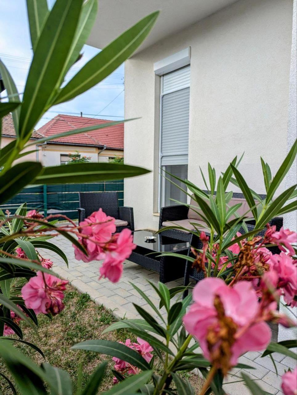 Gast Haus Apartment Sibiu Bagian luar foto